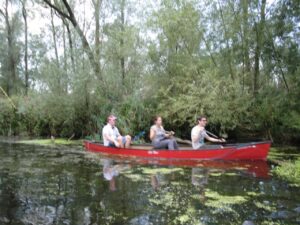 Watersport Botenverhuur Biesbosch